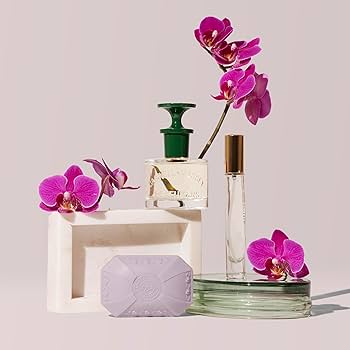 Amazon.co.jp: [ 日本公式 ]キャスウェルマッセイ オーキッドP